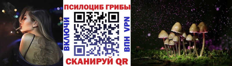Купить  Колпашево  Псилоцибиновые грибы ЛСД 